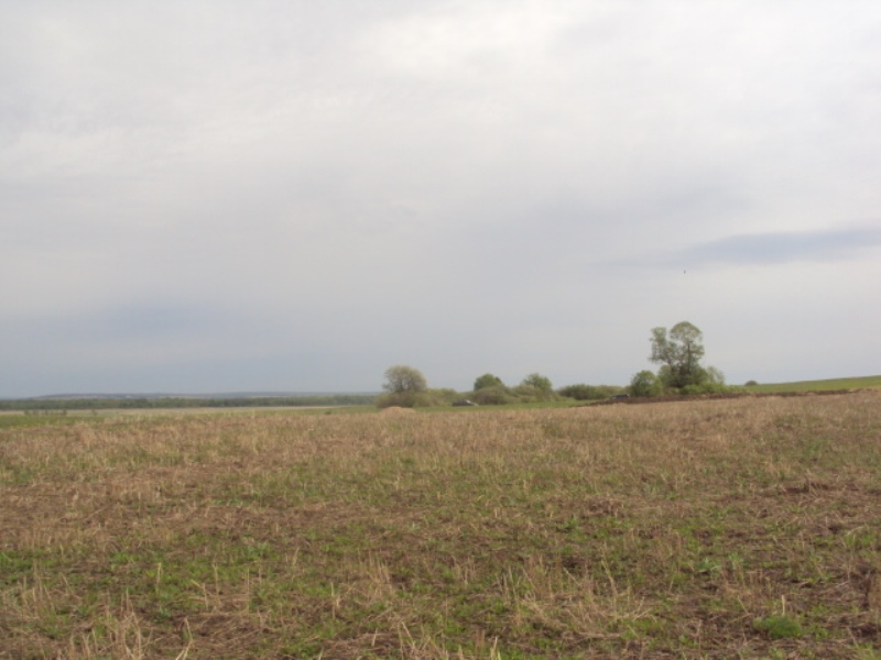 эксперт-иглино.рф