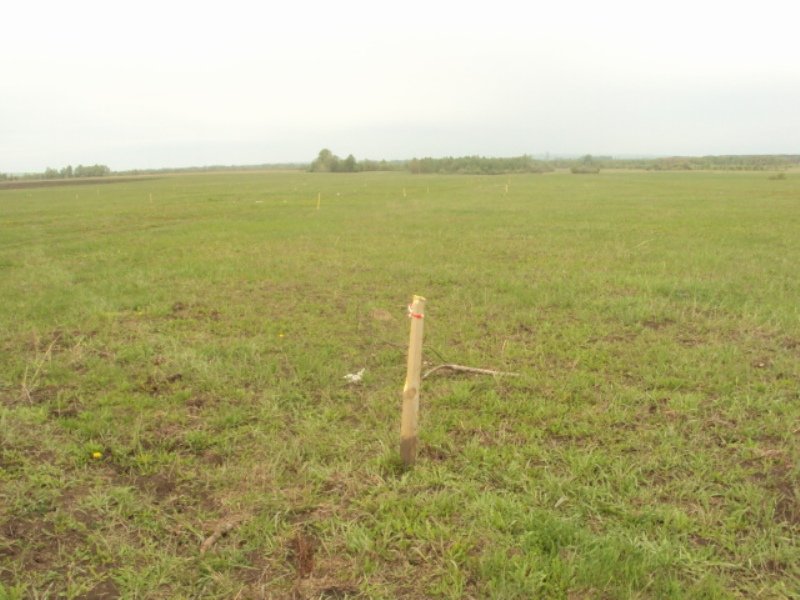 эксперт-иглино.рф