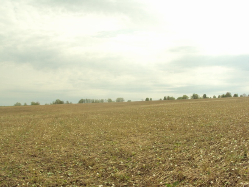 эксперт-иглино.рф