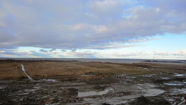 Финский залив