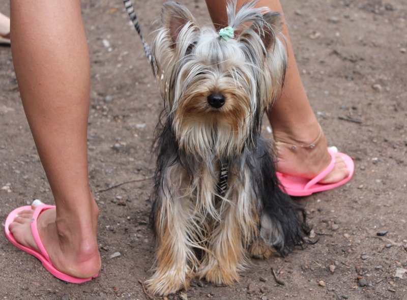 Сеть Агентств Недвижимости ЭКСПЕРТ. Пайнтбол.