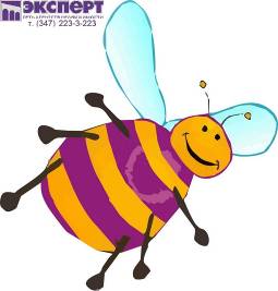 Офис ЭКСПЕРТ в городе Архангельске, ген.директор Полянский Дмитрий Леонидович