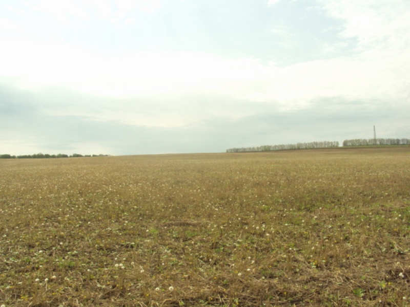 Земельные участки Ново-Архангельское. Иглино.