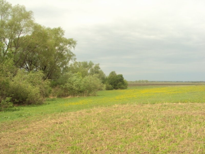 Земельные участки Ново-Архангельское. Иглино.