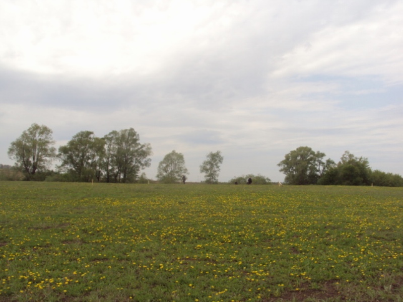 Земельные участки Ново-Архангельское. Иглино.