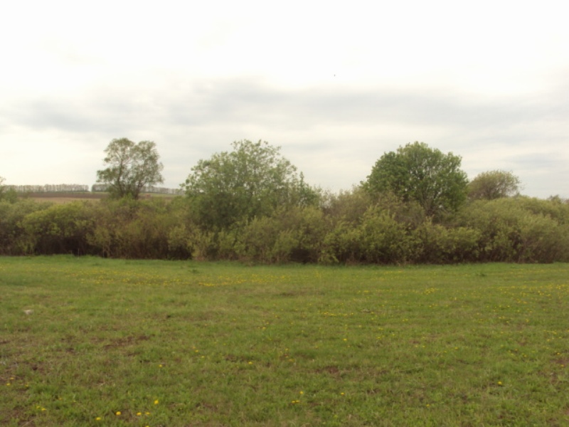 Земельные участки Ново-Архангельское. Иглино.