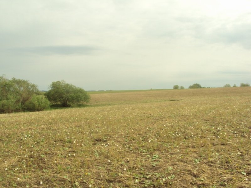 Земельные участки Ново-Архангельское. Иглино.