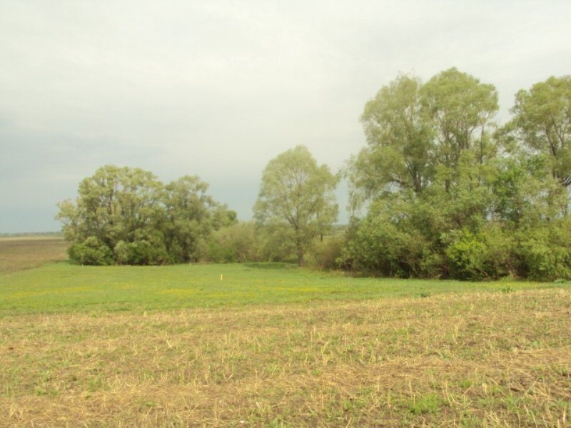 Земельные участки Ново-Архангельское. Иглино.