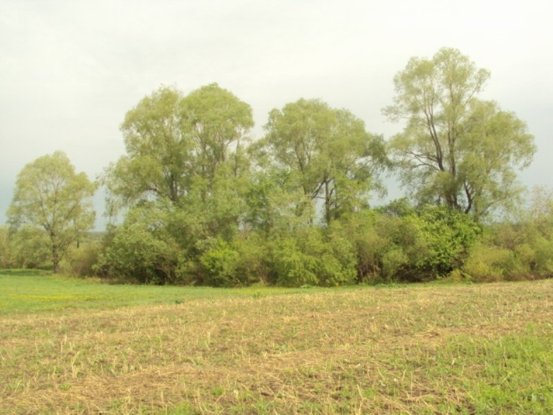 Земельные участки Ново-Архангельское. Иглино.